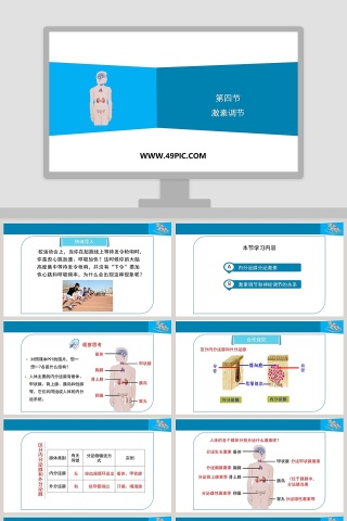 第四节-激素调节教学ppt课件
