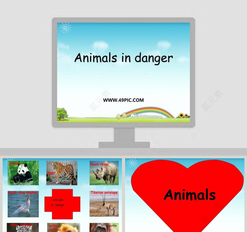 Animals in danger教学ppt课件第1张