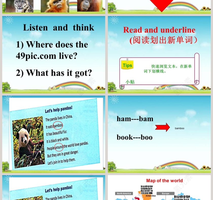 Animals in danger教学ppt课件第2张