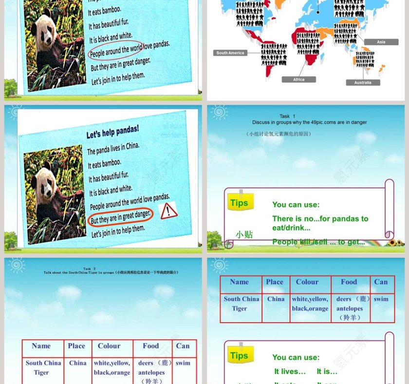 Animals in danger教学ppt课件第3张