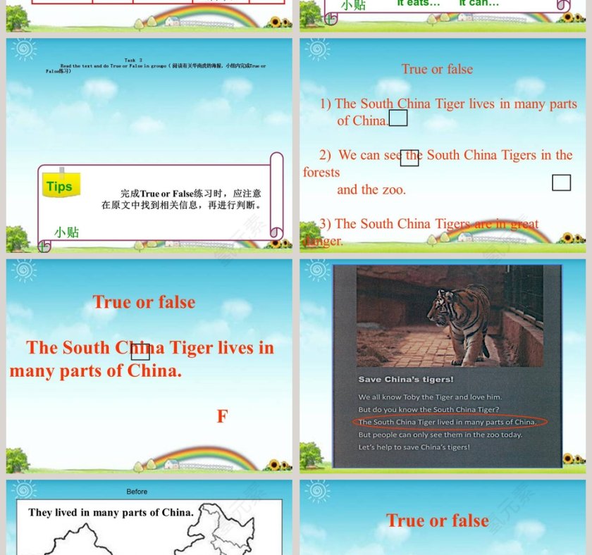 Animals in danger教学ppt课件第4张