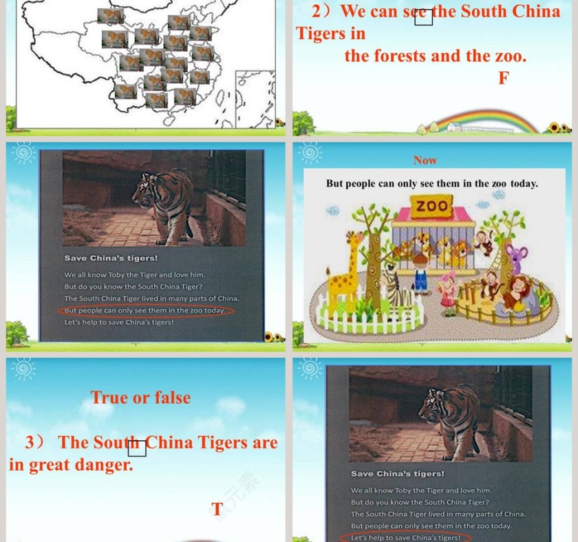 Animals in danger教学ppt课件第5张