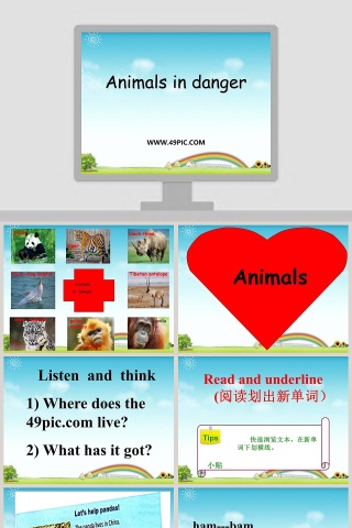 Animals in danger教学ppt课件