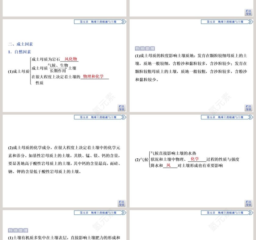第二节土壤的形成教学ppt课件第2张