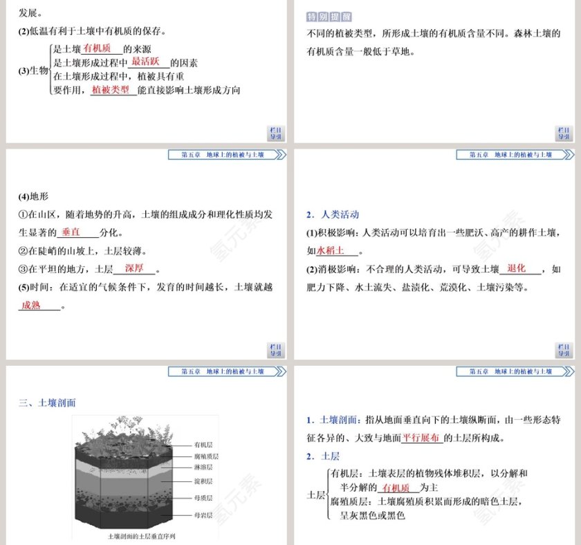 第二节土壤的形成教学ppt课件第3张