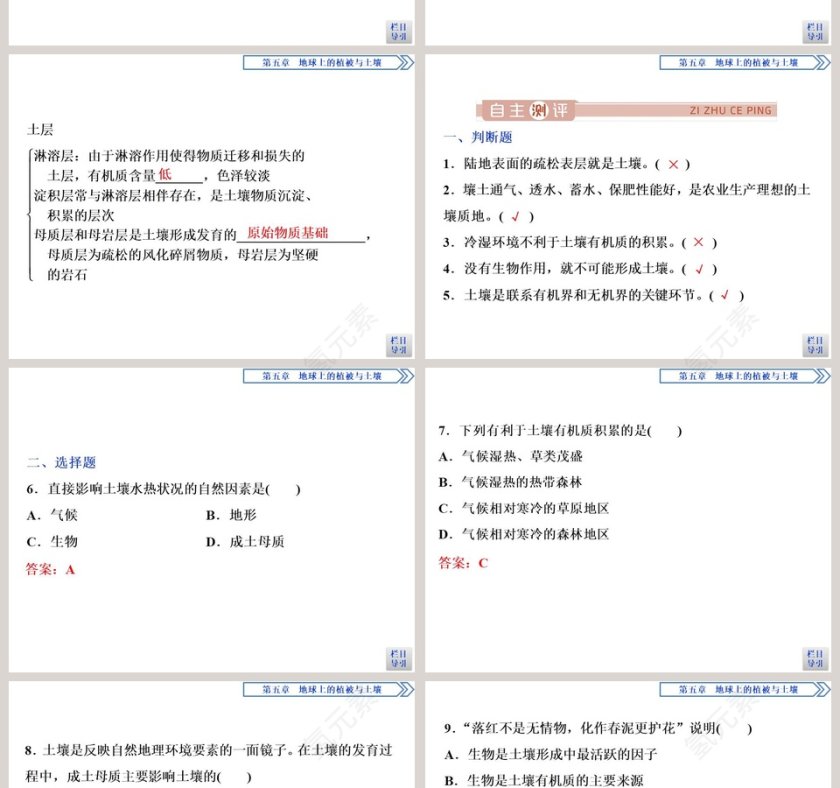 第二节土壤的形成教学ppt课件第4张