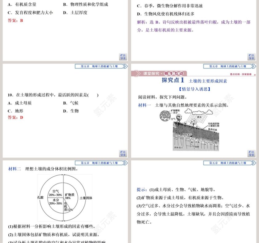 第二节土壤的形成教学ppt课件第5张