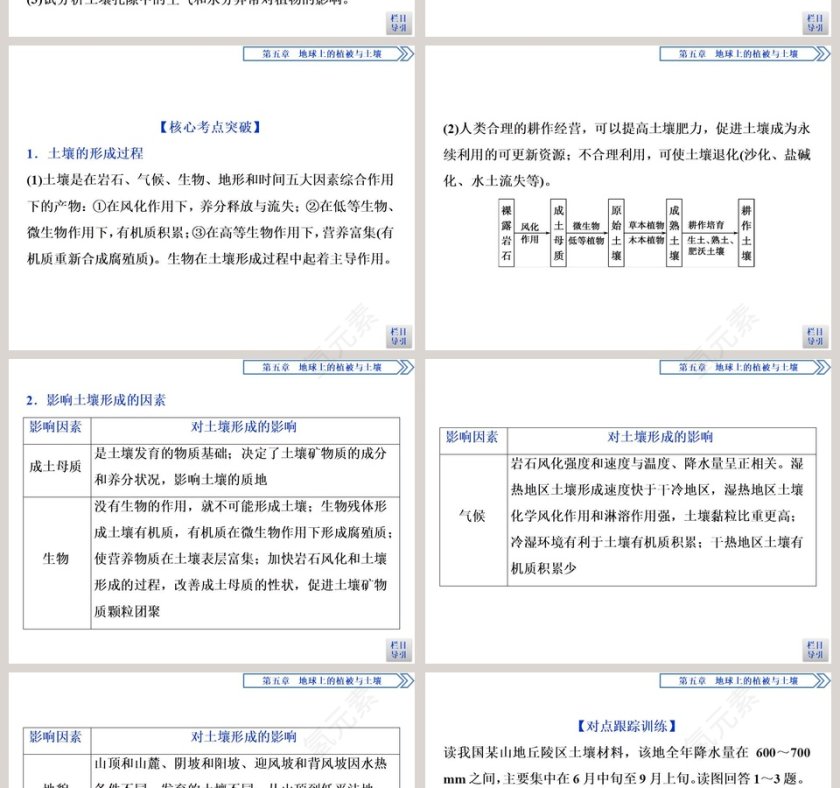 第二节土壤的形成教学ppt课件第6张