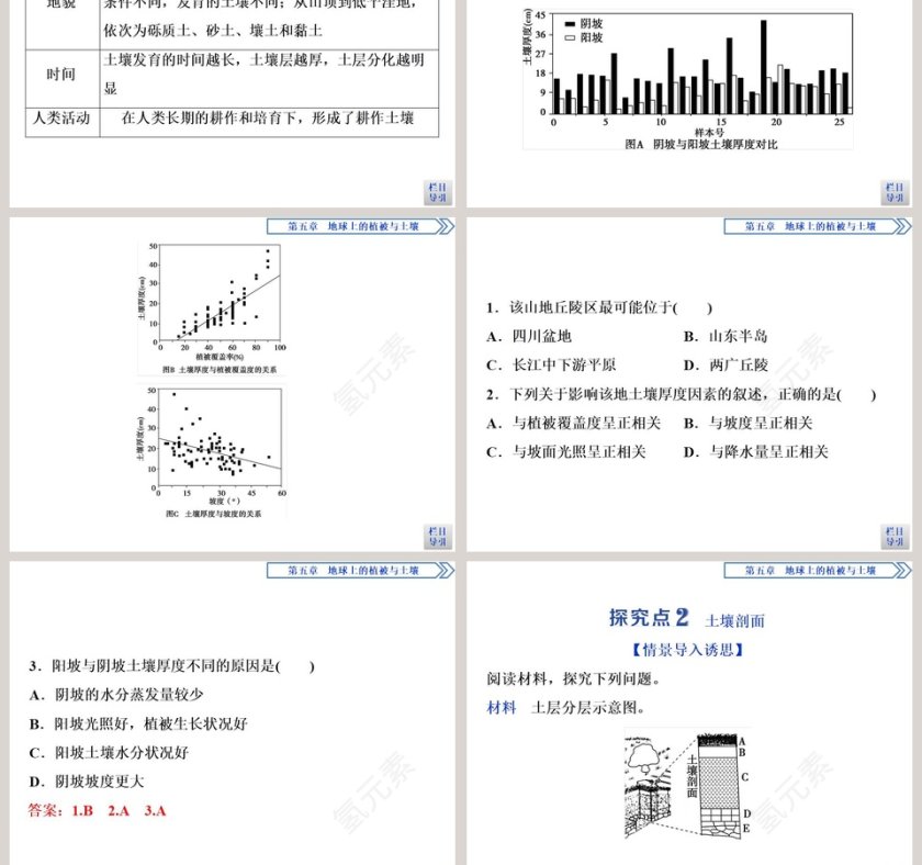 第二节土壤的形成教学ppt课件第7张