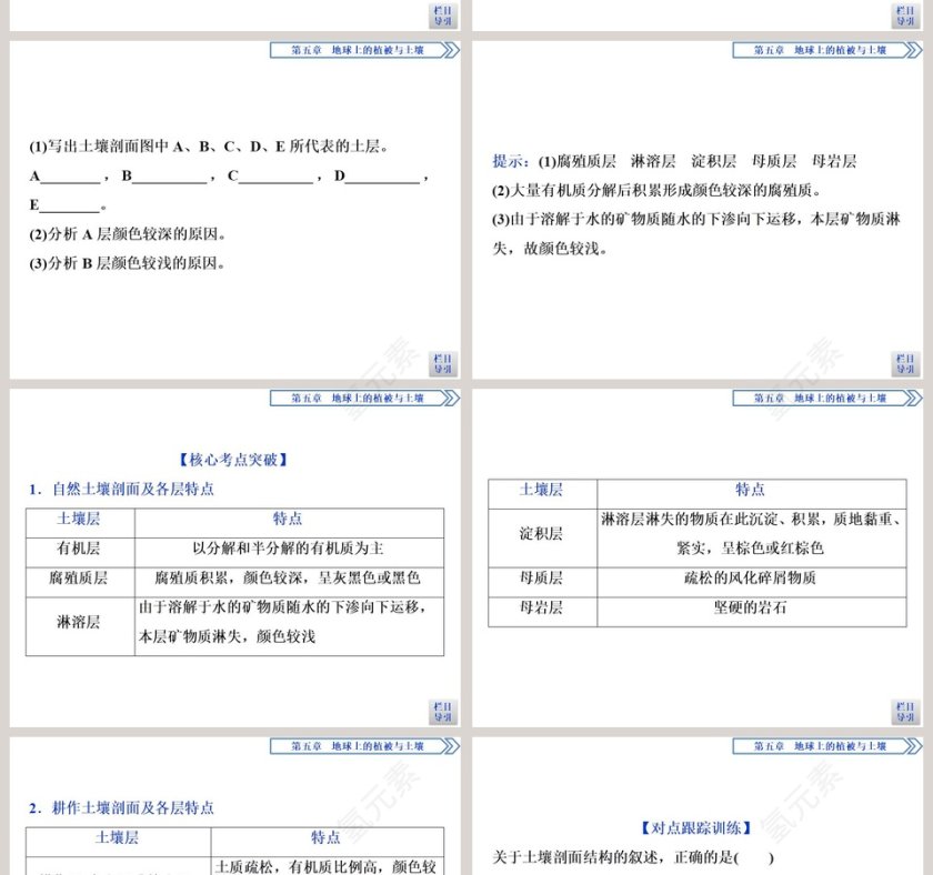 第二节土壤的形成教学ppt课件第8张