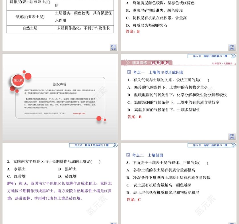 第二节土壤的形成教学ppt课件第9张