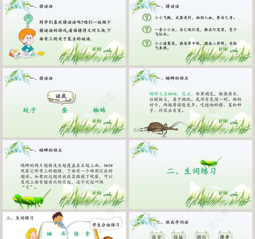 四年级语文课件《蟋蟀的住宅》PPT第2张