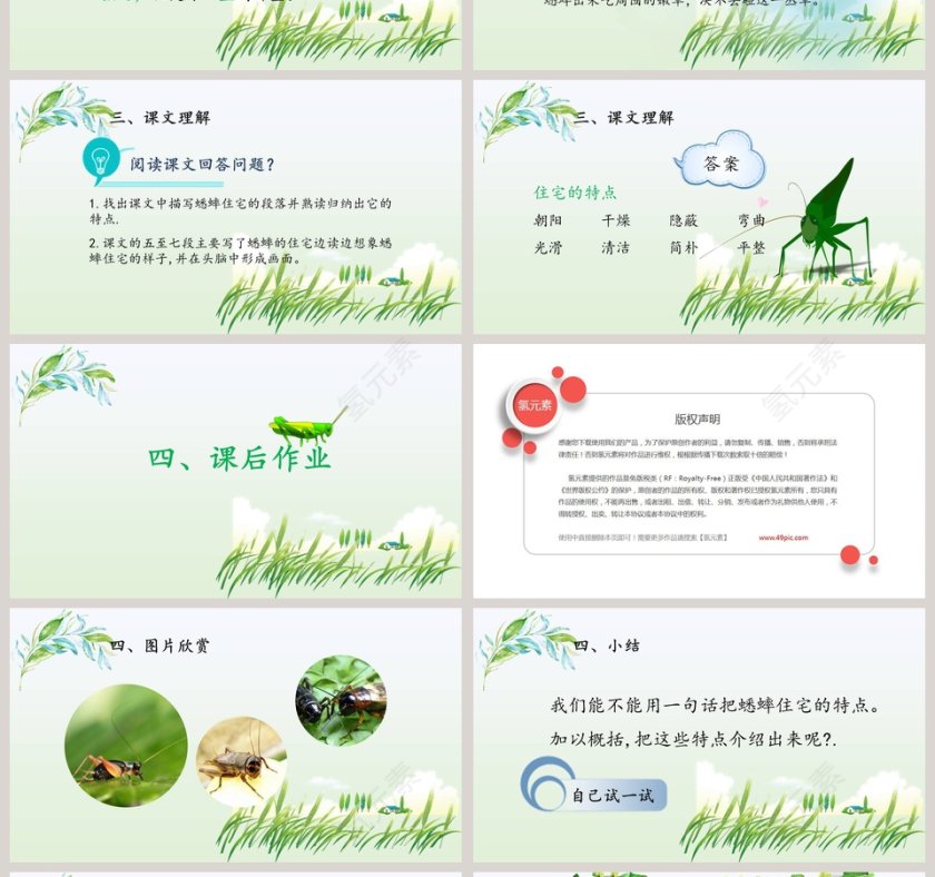 四年级语文课件《蟋蟀的住宅》PPT第4张