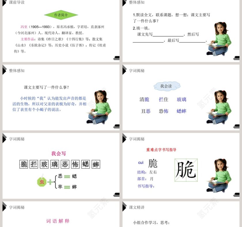 部编版六年级下册语文表里的生物PPT课件第2张