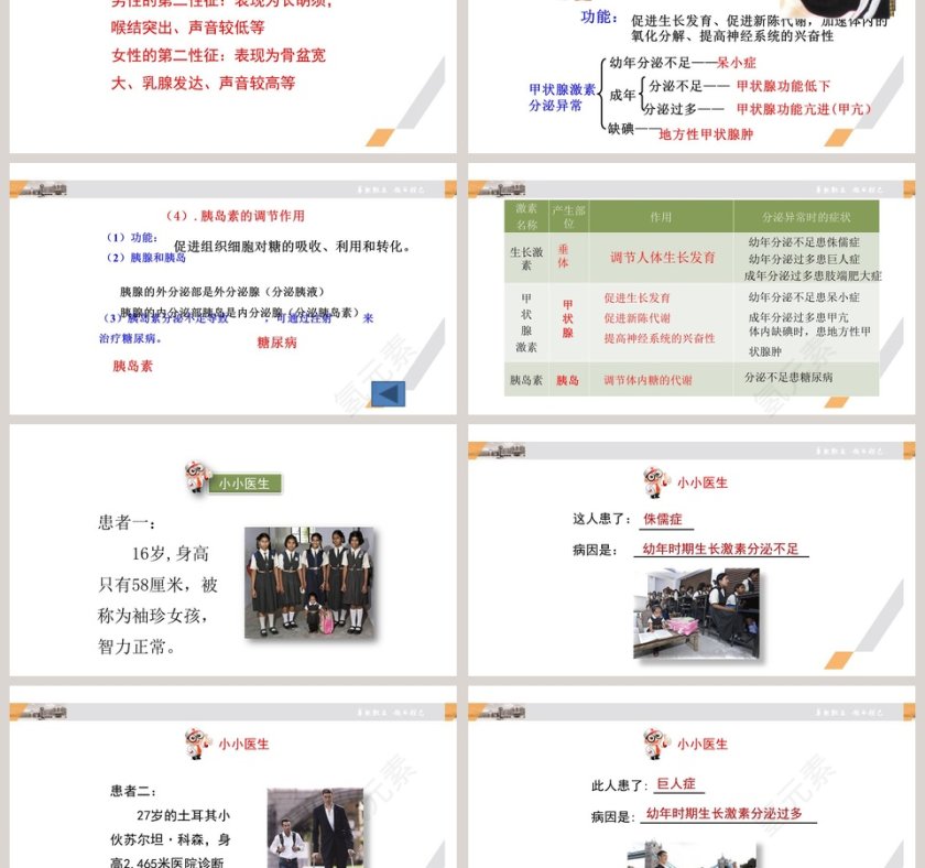 第三节 激素调节教学ppt课件第3张