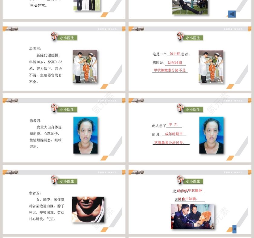 第三节 激素调节教学ppt课件第4张