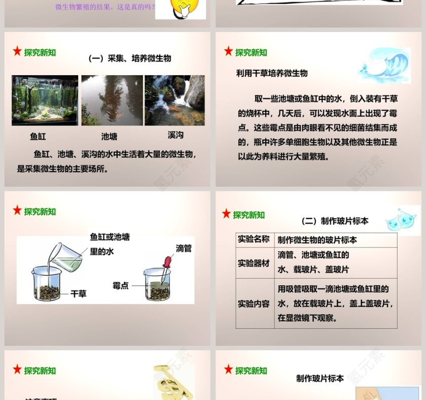 教科版六年级下册PPT模板大全第2张