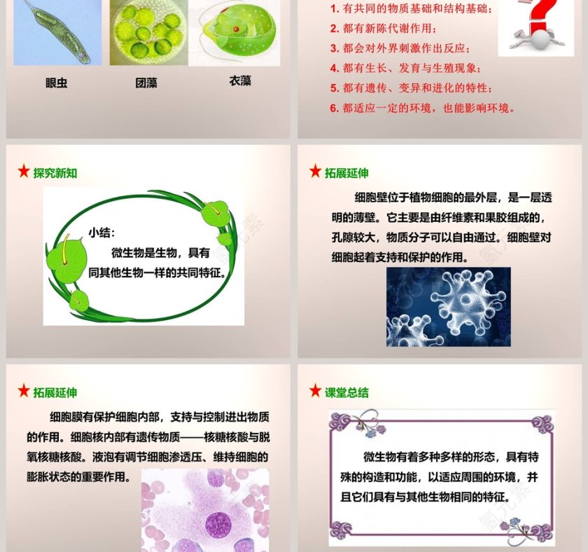 教科版六年级下册PPT模板大全第5张