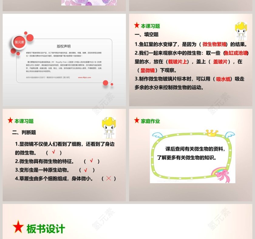 教科版六年级下册PPT模板大全第6张