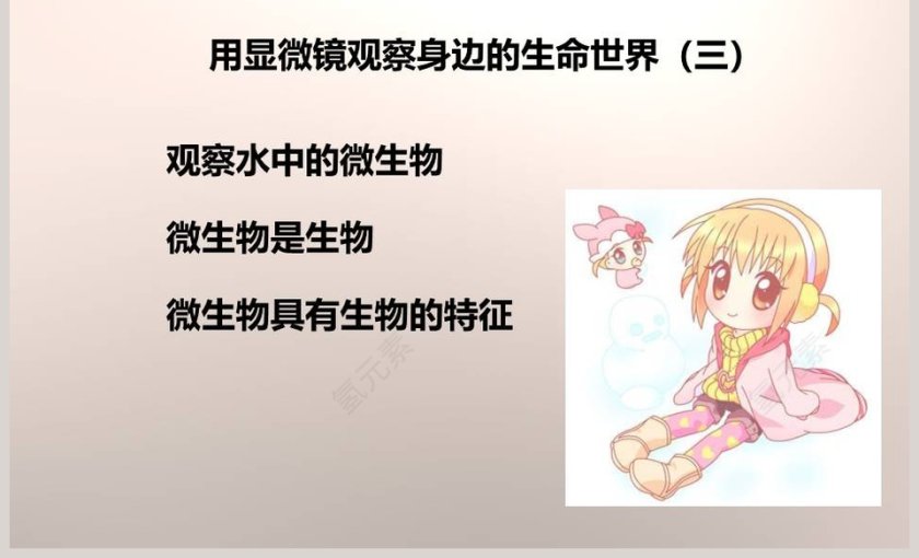 教科版六年级下册PPT模板大全第7张