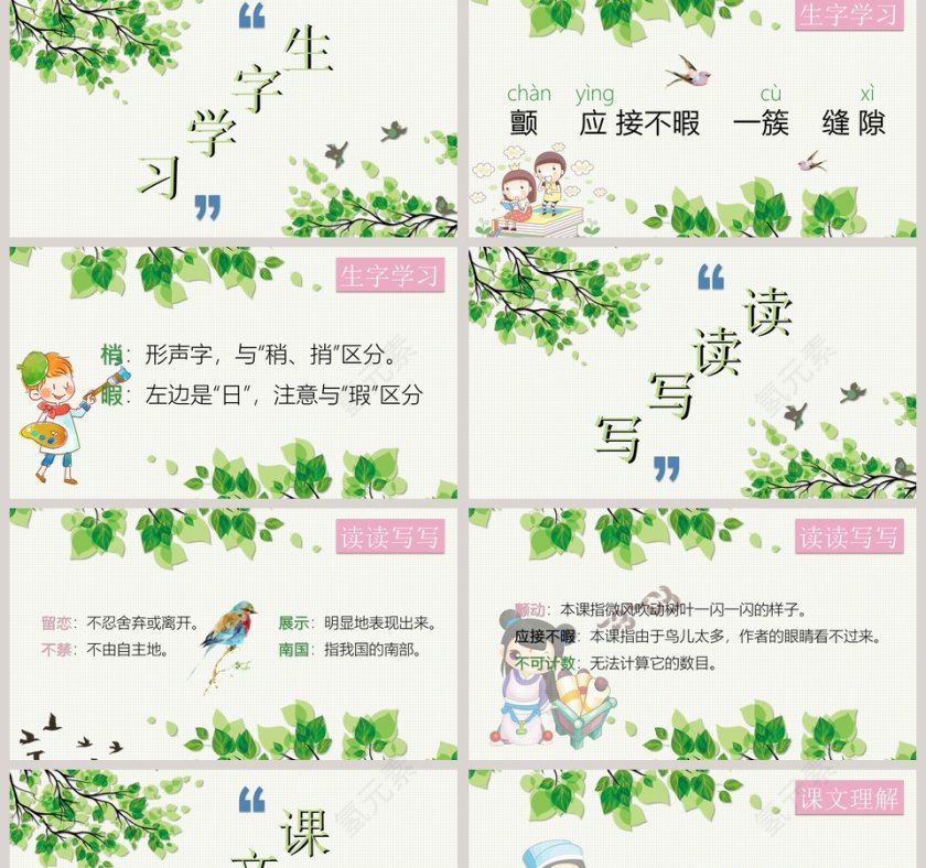 四年级语文课件《鸟的天堂》PPT第2张