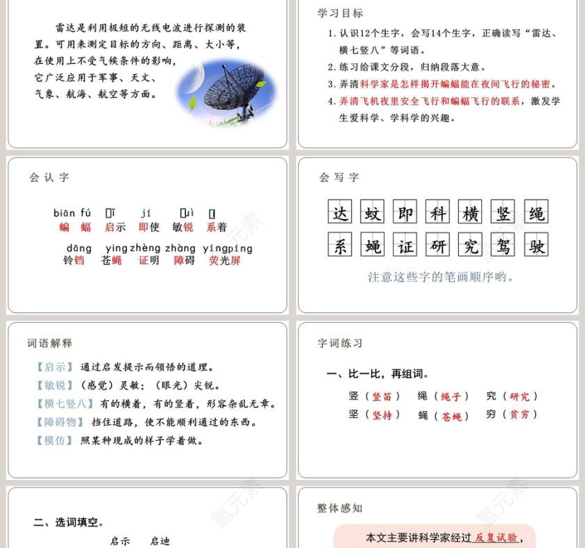 课文解析蝙蝠和雷达语文课件PPT第2张