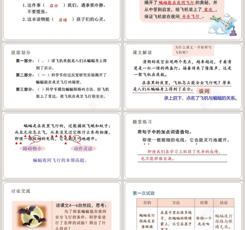 课文解析蝙蝠和雷达语文课件PPT第3张