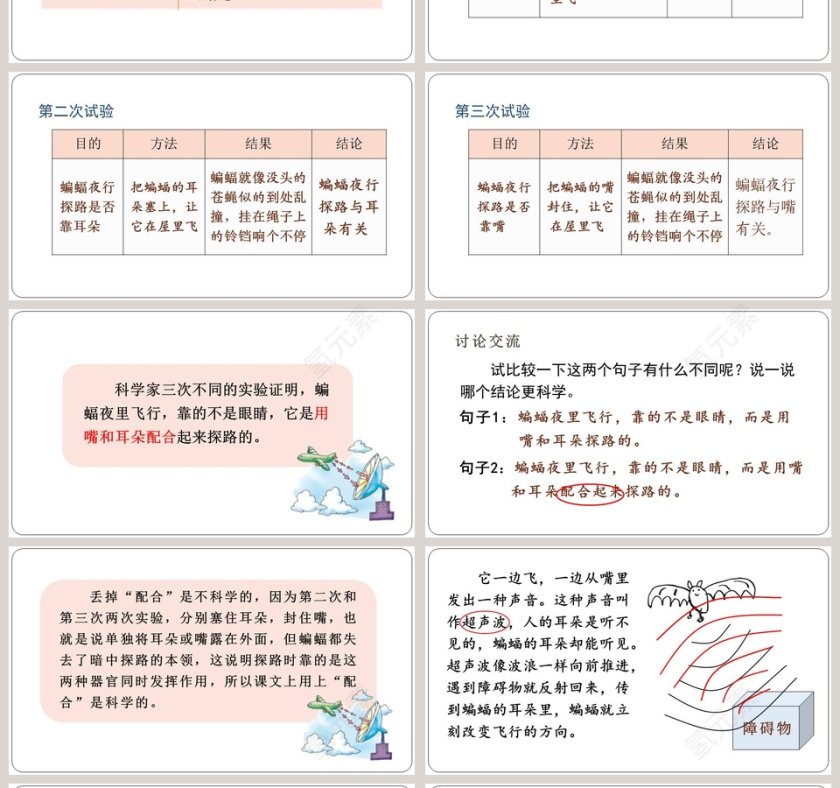 课文解析蝙蝠和雷达语文课件PPT第4张