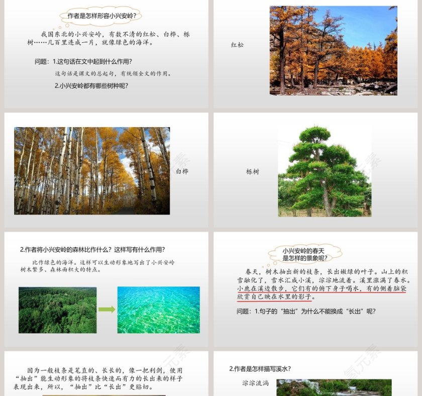 部编版语文三年级上册美丽的小兴安岭PPT课件第2张