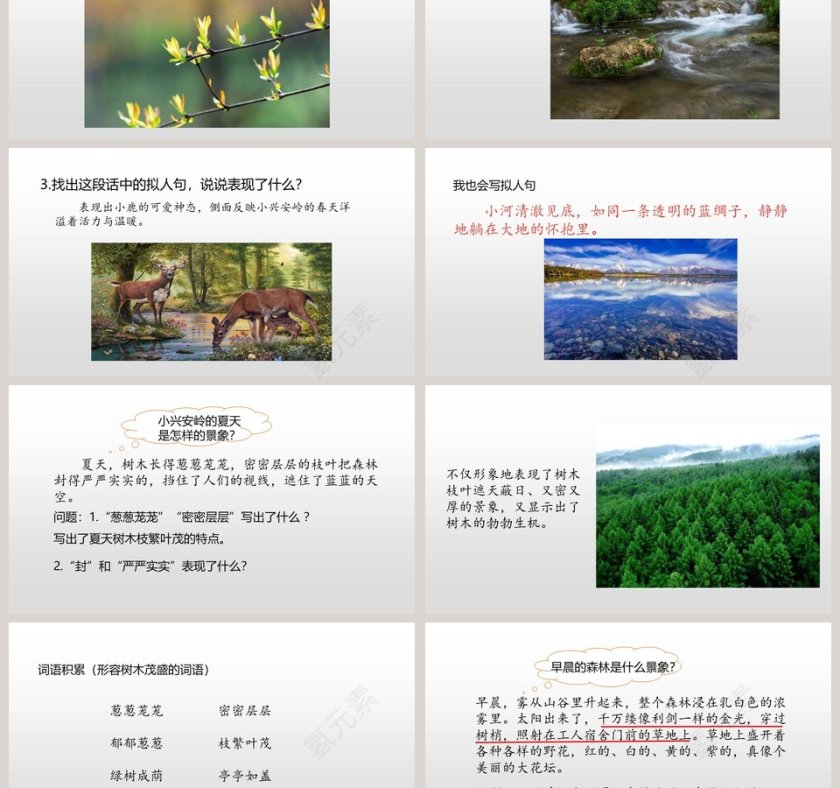 部编版语文三年级上册美丽的小兴安岭PPT课件第3张