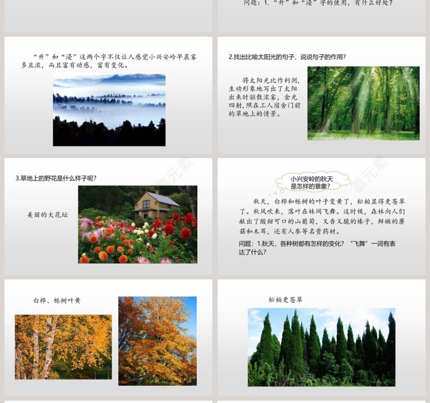 部编版语文三年级上册美丽的小兴安岭PPT课件第4张