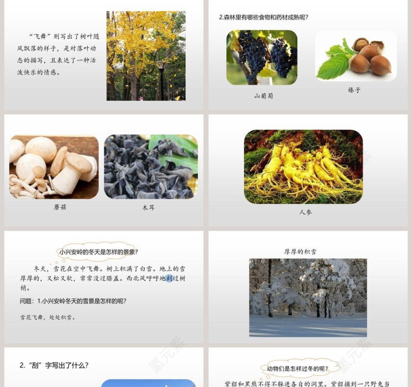 部编版语文三年级上册美丽的小兴安岭PPT课件第5张