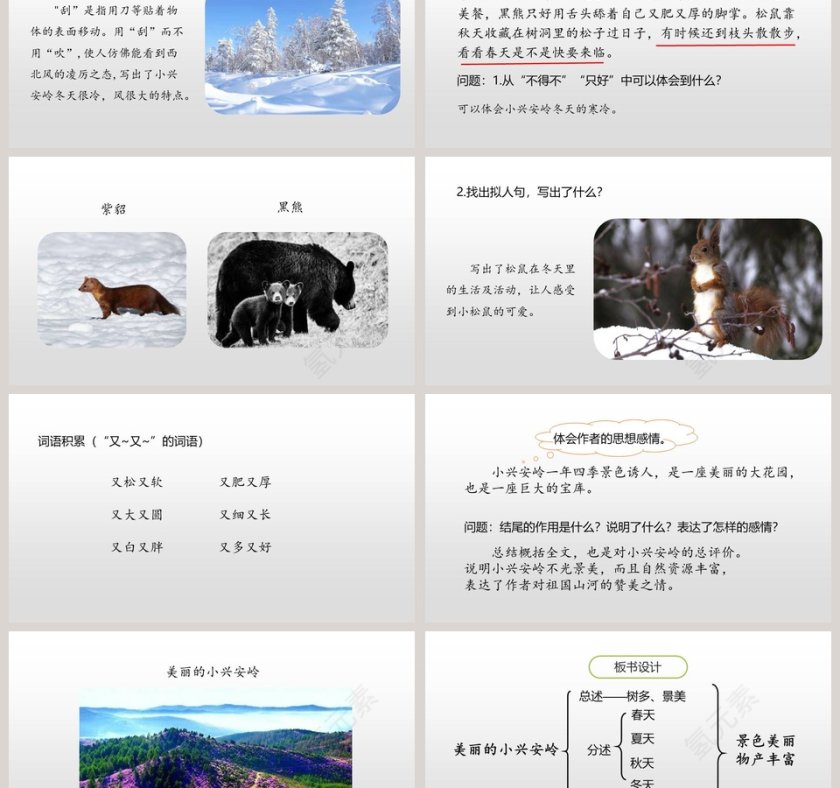 部编版语文三年级上册美丽的小兴安岭PPT课件第6张