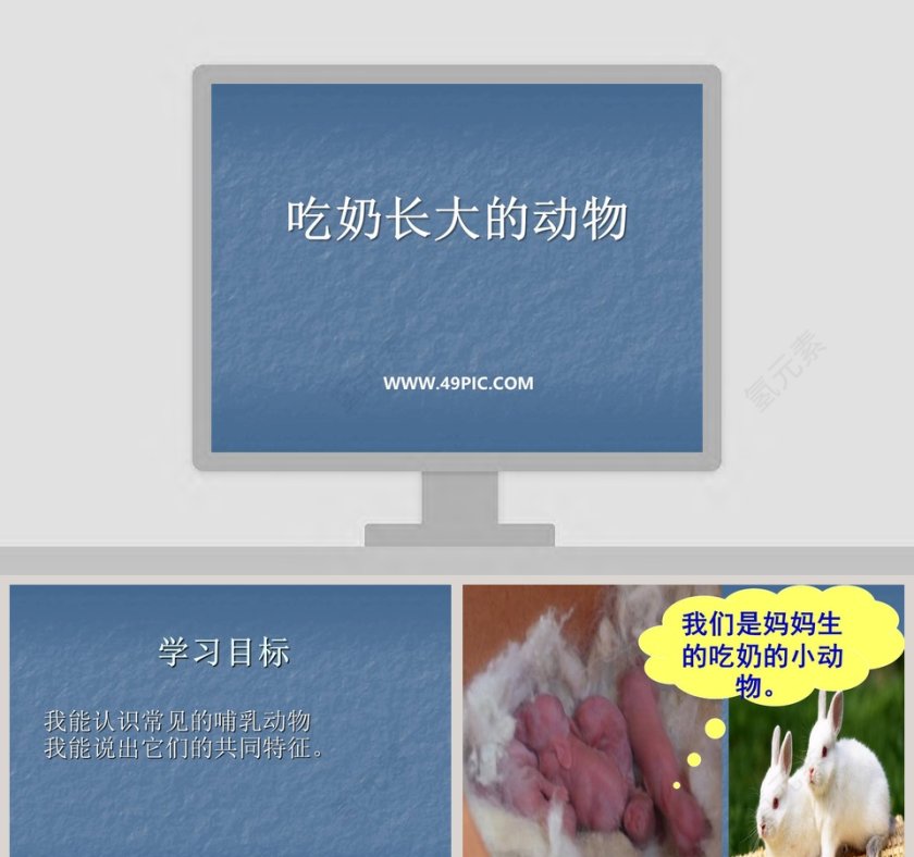 吃奶长大的动物教学ppt课件第1张