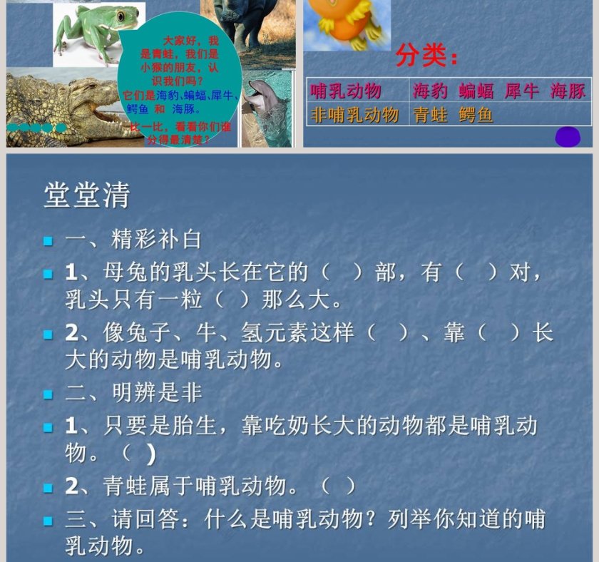 吃奶长大的动物教学ppt课件第3张