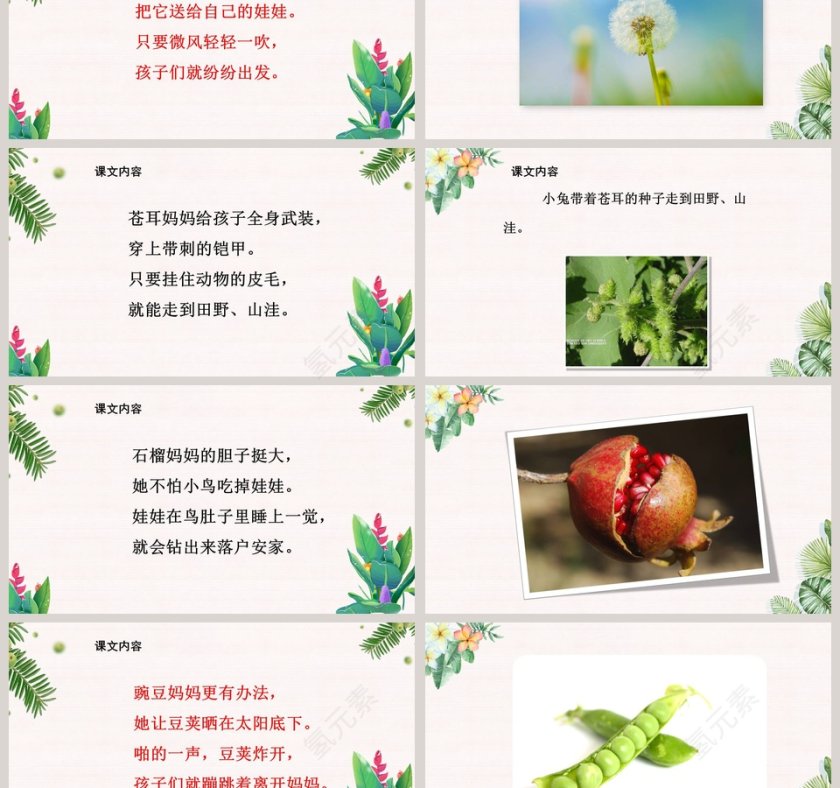 植物妈妈有办法ppt第3张