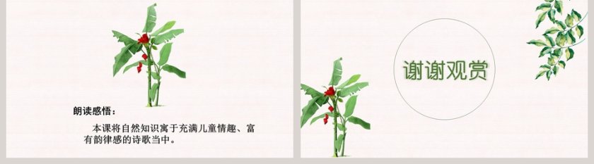 植物妈妈有办法ppt第5张