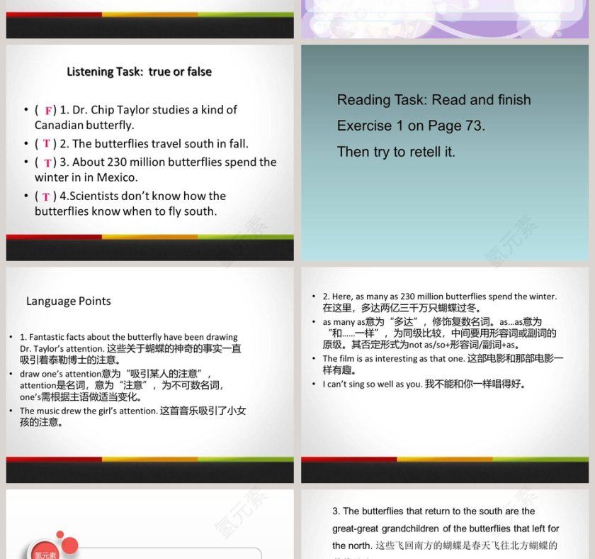 Lesson 28-The Study of Living Things教学ppt课件第2张