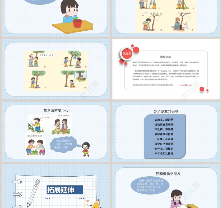 花儿草儿真美丽-人教版一年级下册道德与法治课件教学ppt课件第3张