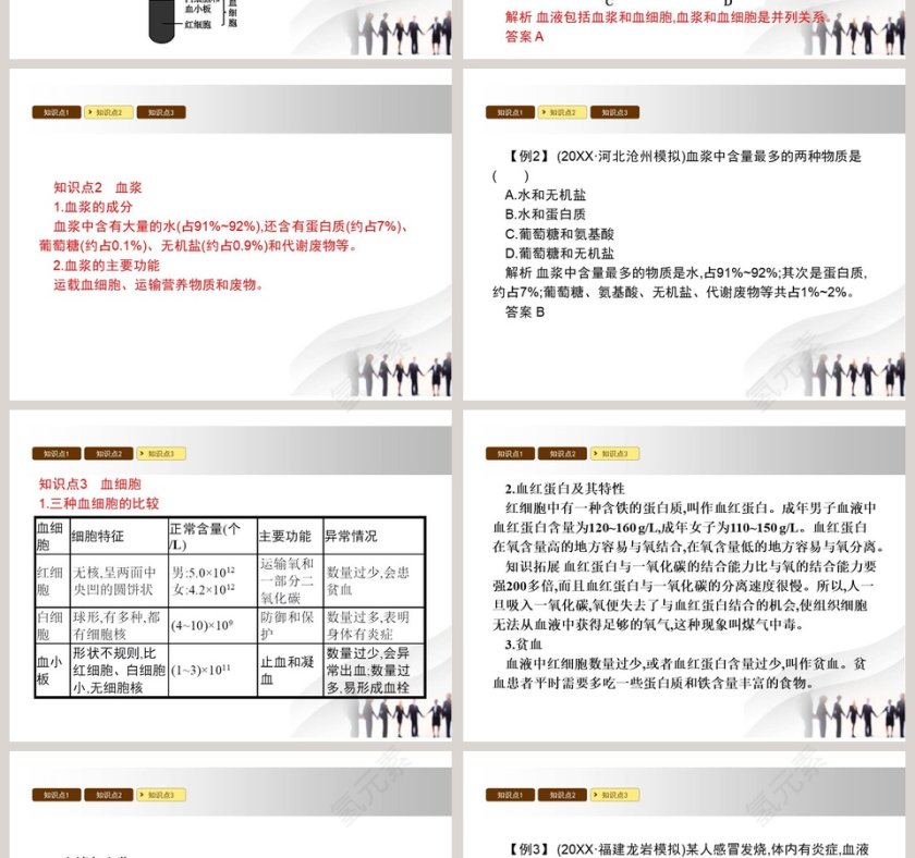 血 液教学ppt课件第2张