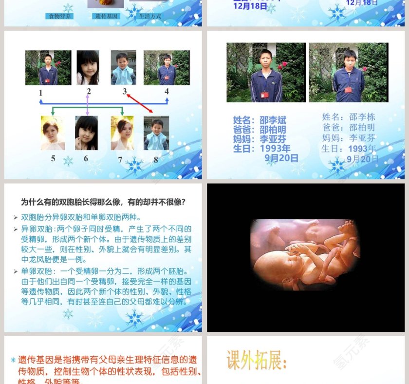 我像谁-青岛版五年级科学下册课件教学ppt课件第2张