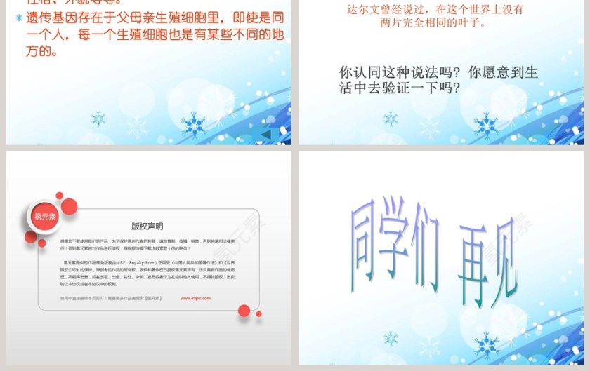 我像谁-青岛版五年级科学下册课件教学ppt课件第3张