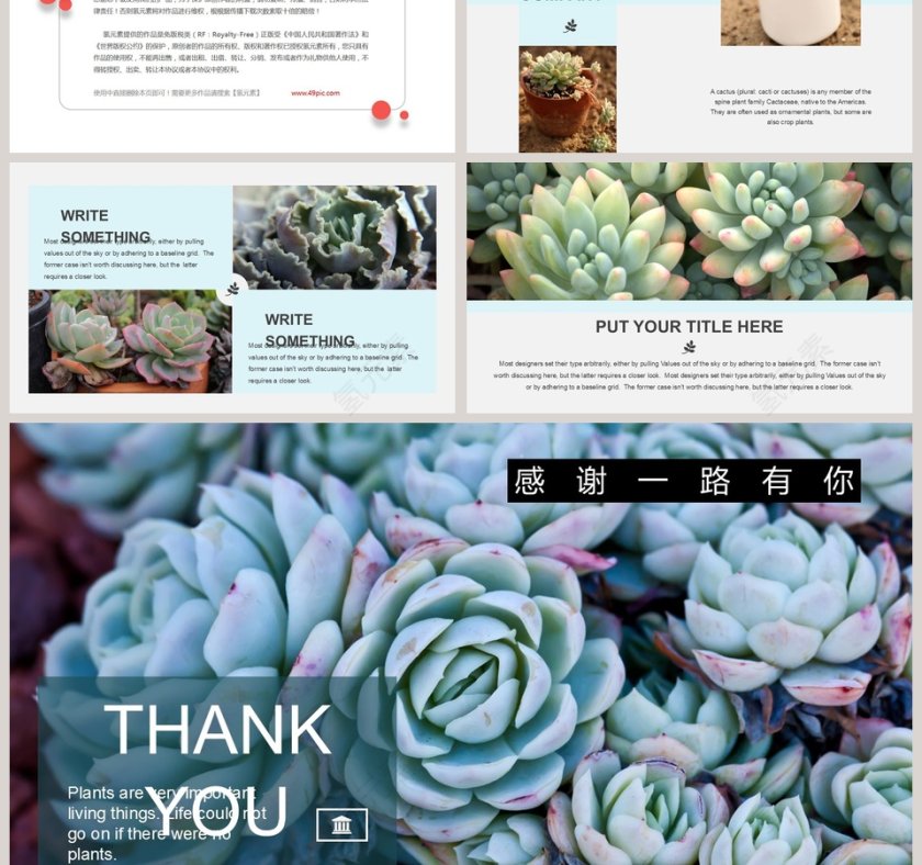 清新多肉主题背景商务总结PPT第3张