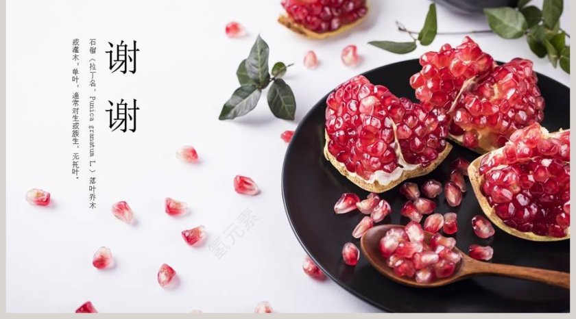 石榴清新文艺水果风格PPT模板   第5张