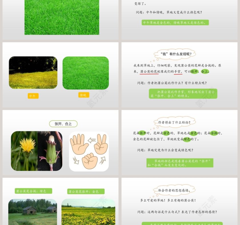 统编版三年级语文上册金色的草地语文课件PPT第3张