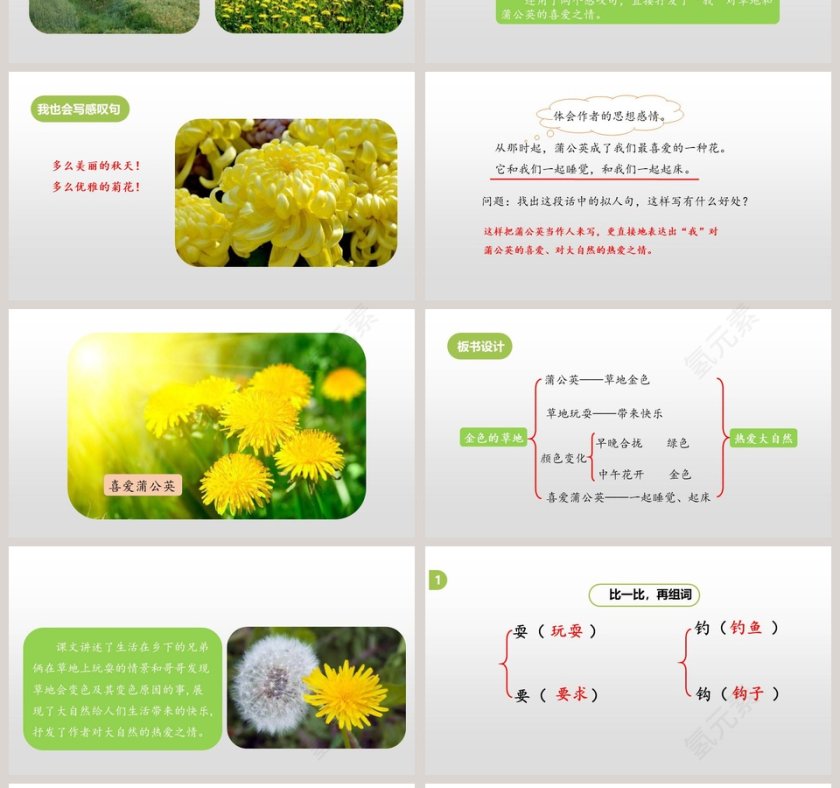 统编版三年级语文上册金色的草地语文课件PPT第4张