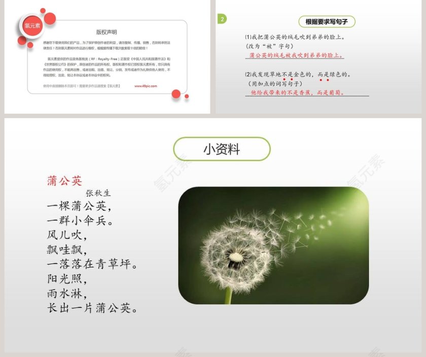 统编版三年级语文上册金色的草地语文课件PPT第5张