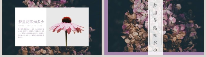 梦里花落知多少紫色主题工作ppt模板第5张