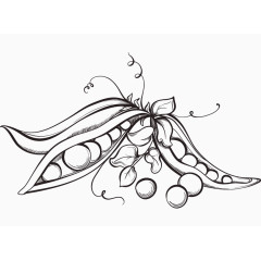 手绘蔬菜系列:豌豆
