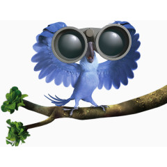 树枝上的鹦鹉拿着望远镜